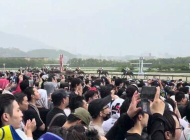 宝塚記念G1 2026 .6.14 メイショウタバルお父さんゴールドシップに並んで2連覇ー✨おめでとーーーー(・∀・)✨