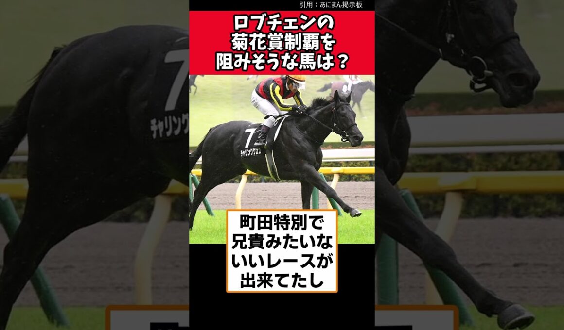ロブチェンの菊花賞制覇を阻みそうな馬は？【競馬反応集】　#菊花賞　#ロブチェン