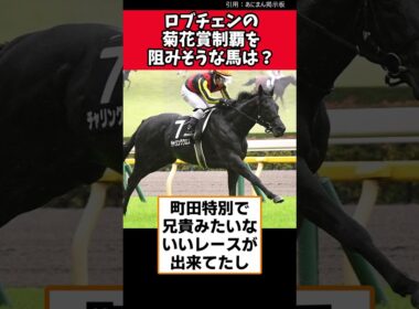 ロブチェンの菊花賞制覇を阻みそうな馬は？【競馬反応集】　#菊花賞　#ロブチェン