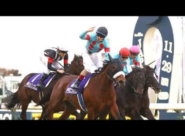 🐎✨アーモンドアイの仔に史上最高額3億円！💎🔥父イクイノックスとの夢の結晶に競馬界騒然🏆🌟💰🐴🎉