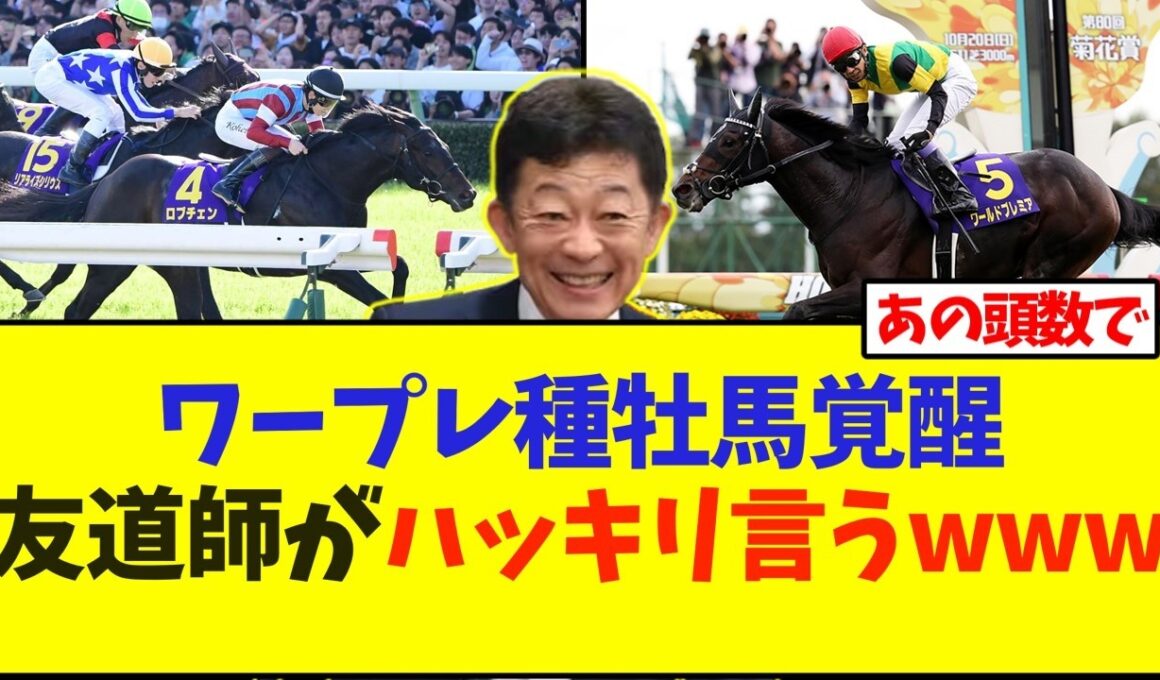 ワールドプレミア種牡馬覚醒、友道調教師がハッキリ言うwww【競馬】