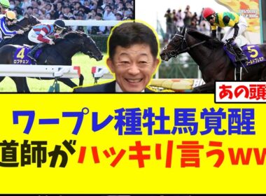 ワールドプレミア種牡馬覚醒、友道調教師がハッキリ言うwww【競馬】