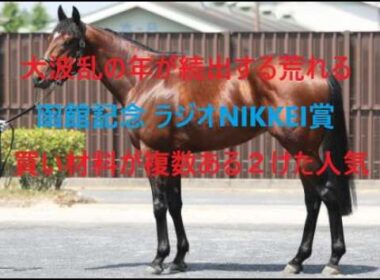 昨年１４番人気マイネルメモリー推奨 函館記念 ラジオNIKKEI賞 買い材料ある超人気薄