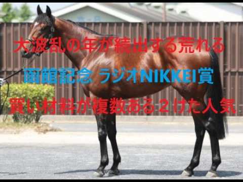 昨年１４番人気マイネルメモリー推奨 函館記念 ラジオNIKKEI賞 買い材料ある超人気薄