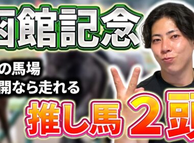 【函館記念 2026】例年と違う函館記念の特徴を解説！今年の函館は●●な馬が好走しています