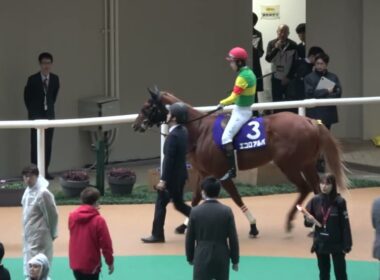 【朝日杯フューチュリティステークス2025】 全頭パドック 現地映像 カヴァレリッツォ