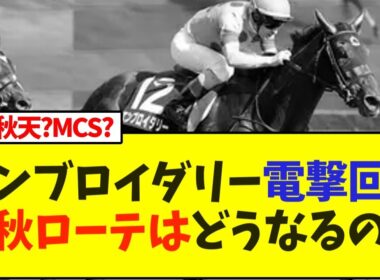 エンブロイダリー電撃回避、今秋ローテはどうなるの…【ヴィクトリアマイル】