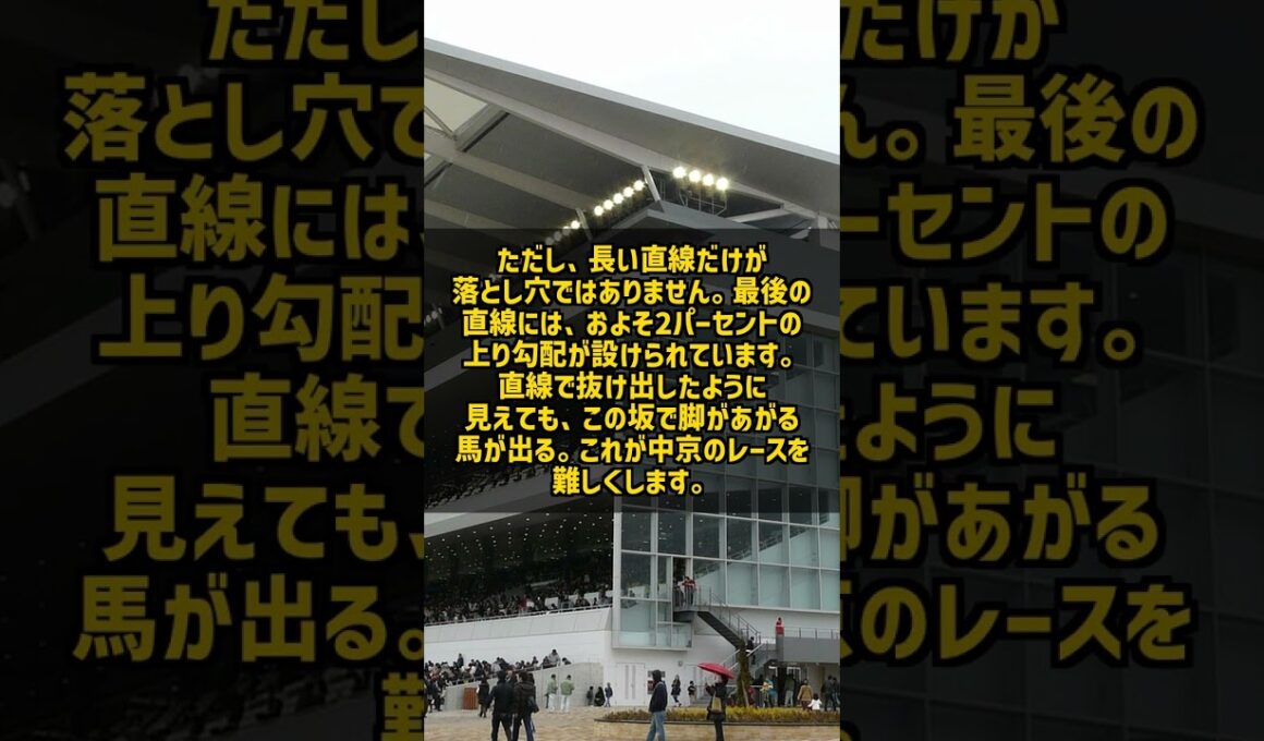 主要四場の外で唯一二つのGI 中京の直線412メートルと上り坂が脚を止める #Shorts