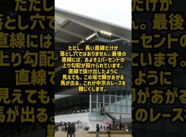 主要四場の外で唯一二つのGI 中京の直線412メートルと上り坂が脚を止める #Shorts