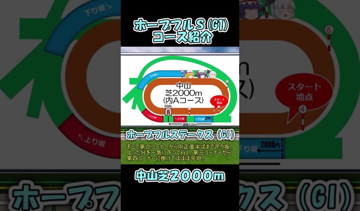 ホープフルステークスコース紹介