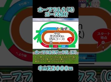 ホープフルステークスコース紹介