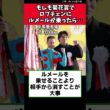 もしも菊花賞でロブチェンにルメールが乗ったら…【競馬反応集】　#ロブチェン　#菊花賞