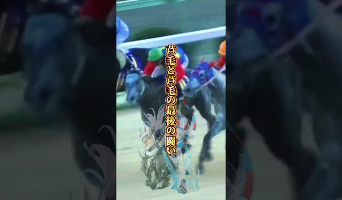 【タマモクロス物語④】完結満身創痍で半馬身差　タマモがオグリに唯一先着を許した日　白い稲妻の散り際