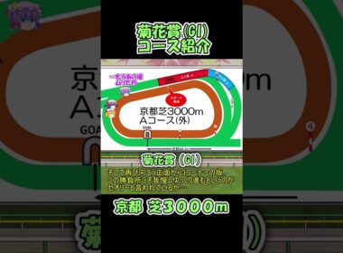 菊花賞コース紹介
