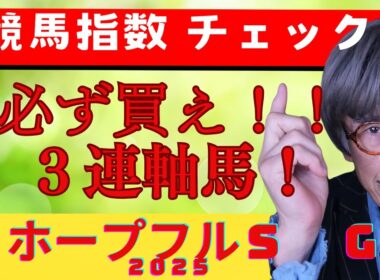 ホープフルステークス２０２５【予想】３連馬券を買うなら必ず入れろ！あの馬を！有力馬が外枠に集まり 先行したいお馬さんも多い中　スタートダッシュが上手いお馬さんが内枠に２頭！この２頭がレースの肝となる！