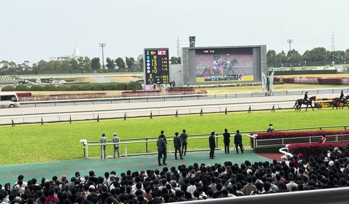 高松宮記念　2026 馬場入場　