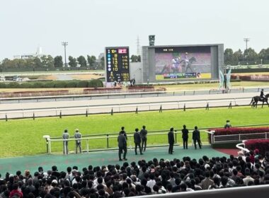 高松宮記念　2026 馬場入場　