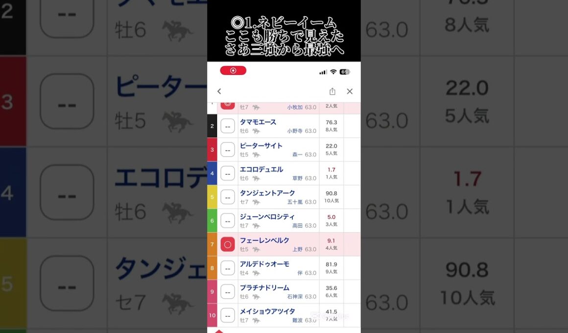 中山大障害の最終見解はある意味推しそして大穴は難しく #競馬 #競馬予想 #中央競馬 #中央競馬予想 #中山競馬 #中山競馬場 #中山競馬予想 #中山大障害