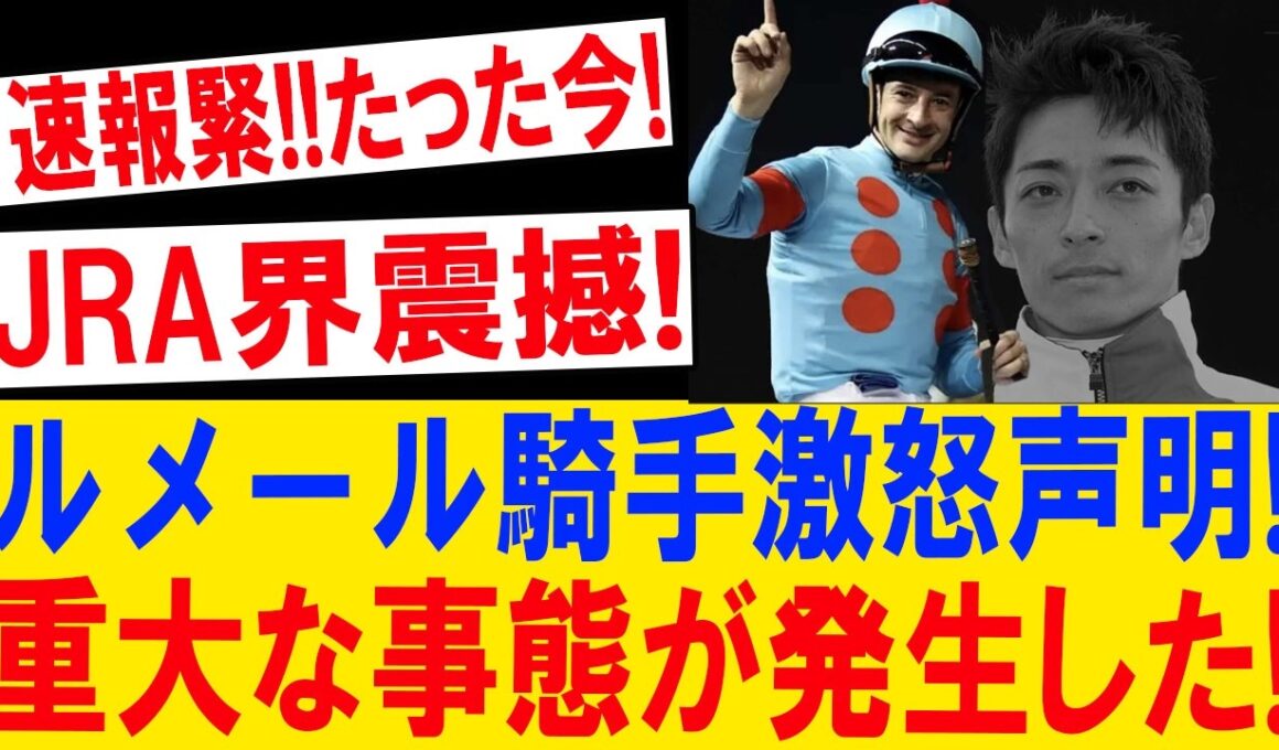 【速報】ルメール激怒!? 女王エンブロイダリーに下された"重大決断"とは…