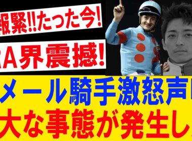 【速報】ルメール激怒!? 女王エンブロイダリーに下された"重大決断"とは…