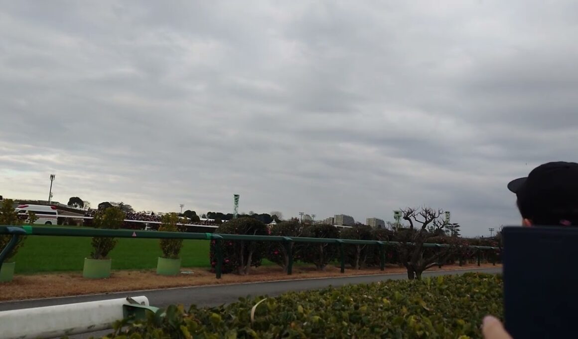 251227 中山大障害 大竹柵障害通過