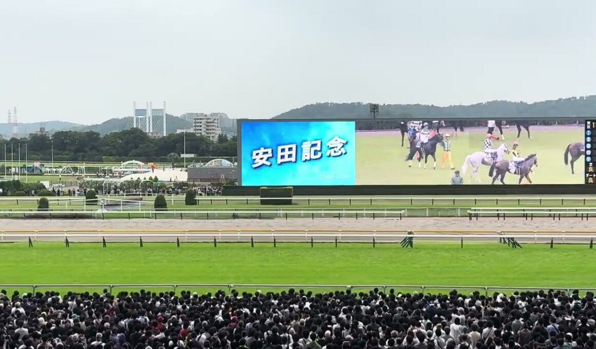 安田記念 2026 出走前pv