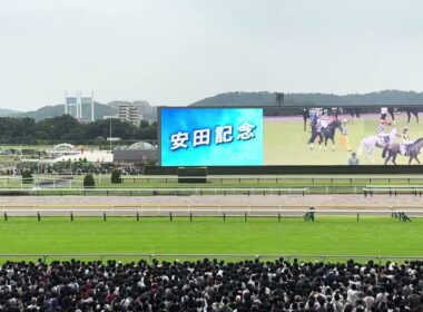 安田記念 2026 出走前pv