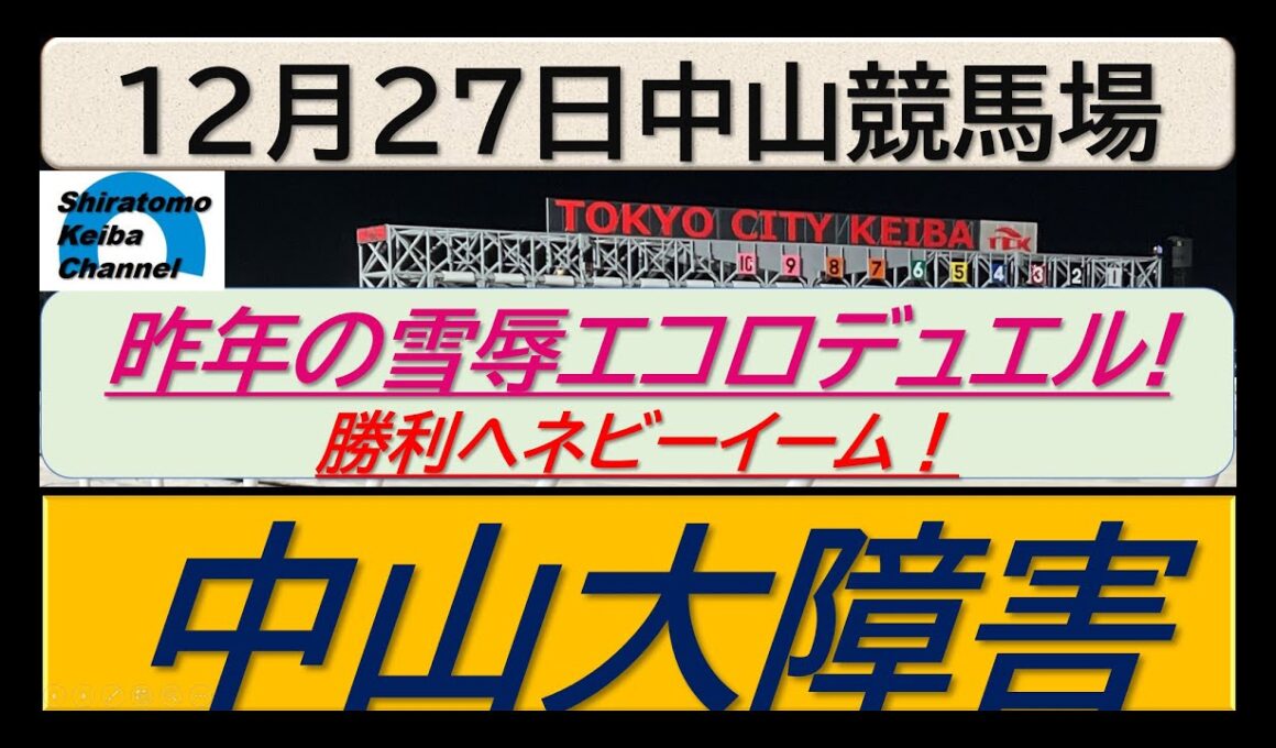 【競馬予想】JGⅠ中山大障害～２０２５年１２月２７日 中山競馬場 ：１２－３０