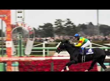 ［現地観戦］2025.12.27（土）中山10R 第148回中山大障害（J・G1）