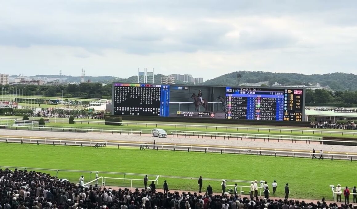 オークス 2026 本馬場入場