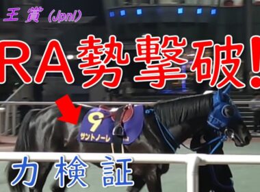 【帝王賞2026】サントノーレはJRA勢に通用するのか？大井記念圧勝馬の実力と好走条件を分析