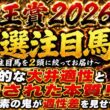 帝王賞2026 後半要素の鬼が適性差を見せつける！あの馬達の根本的な大井適性と隠された本質に迫る！