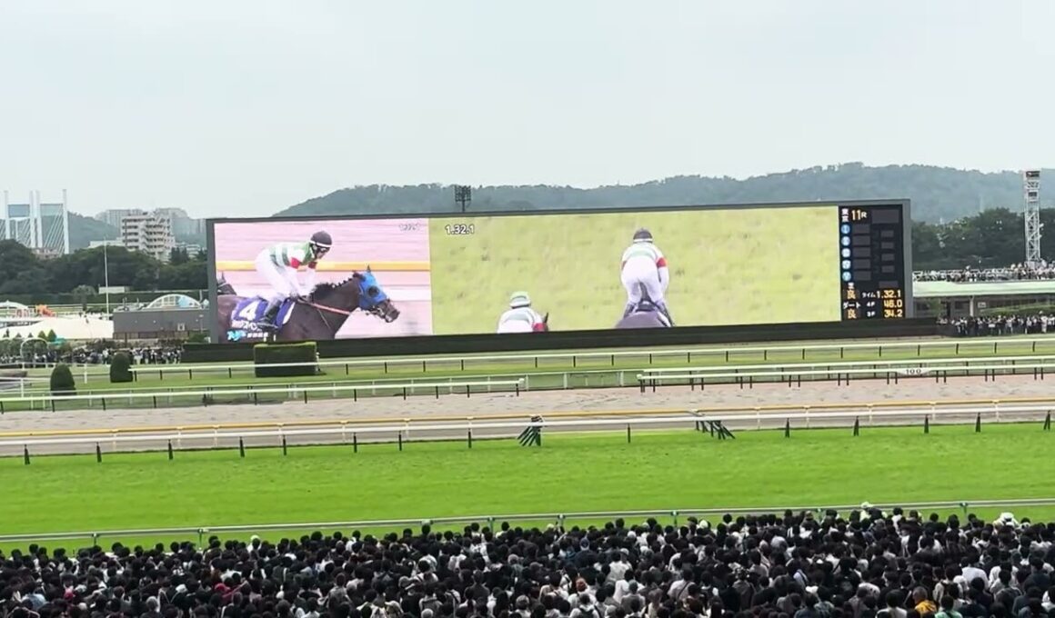 安田記念　2026 最終直線　シックスペンス