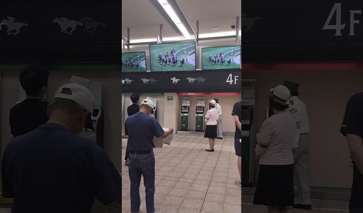 新潟６レース、来ました!～