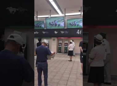 新潟６レース、来ました!～