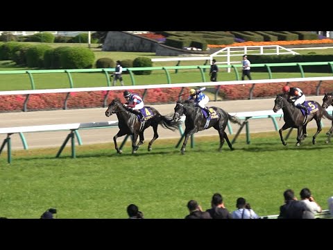 【皐月賞2026】ロブチェン レコードでの逃げ切り勝ちに大歓声！松山弘平【現地レース映像】