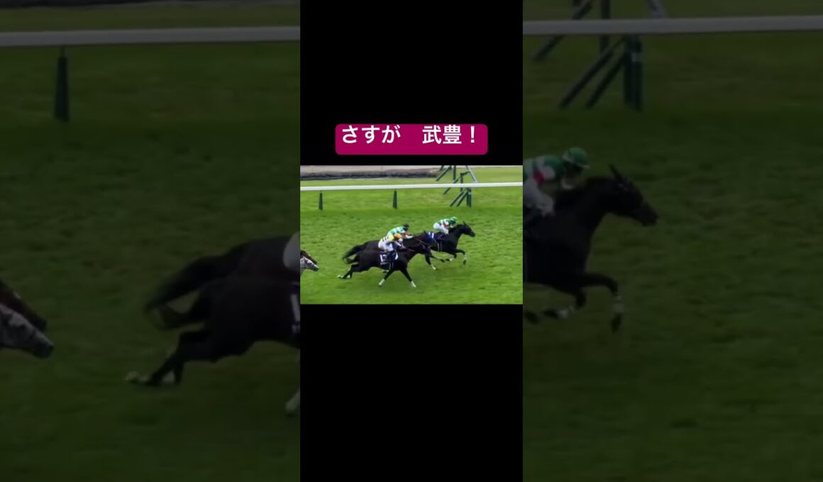 安田記念を急きょの乗り替わりでシックスペンスに騎乗して優勝した武豊#競馬 #安田記念 #武豊 #シックスペンス