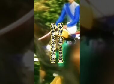 【スーパークリーク物語③】「史上初」秋→春・天皇賞連覇を達成した馬