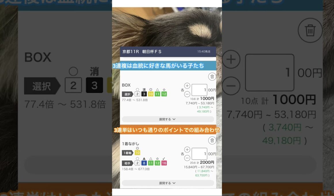 朝日杯FSで買う馬券！天皇賞秋の20万払い戻しをもう一度！#競馬 #馬券 #天皇賞秋 #朝日杯フューチュリティステークス #トータルクラリティ #ニタモノドウシ #楽しめる馬券買いを！