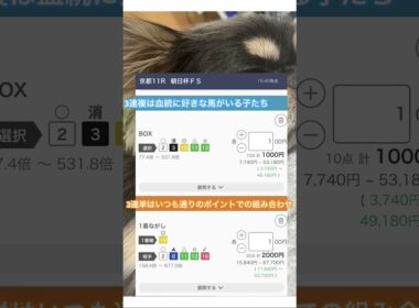 朝日杯FSで買う馬券！天皇賞秋の20万払い戻しをもう一度！#競馬 #馬券 #天皇賞秋 #朝日杯フューチュリティステークス #トータルクラリティ #ニタモノドウシ #楽しめる馬券買いを！