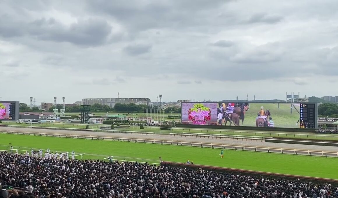 2026年優駿牝馬オークス ファンファーレ