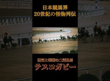 【競馬】二冠女王『テスコガビー』狂気の桜花賞【20世紀の名馬列伝】 #競馬 #アトランティス