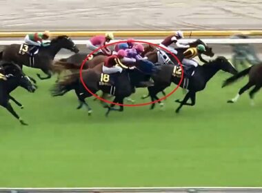 東京競馬場5週連続GⅠ 2026年5～6月 NHKマイルカップ～ヴィクトリアマイル～オークス～日本ダービー～安田記念