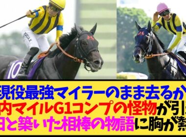 【速報】ジャンタルマンタル引退…国内マイルG1完全制覇の怪物がまさかの電撃発表←これ【競馬】