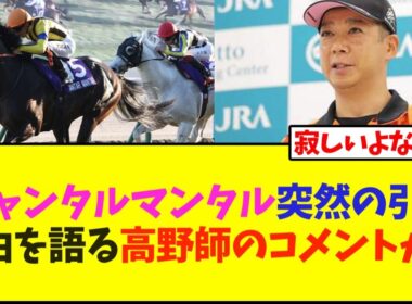 【速報】ジャンタルマンタル電撃引退、理由を語る高野調教師のコメントが…【競馬】