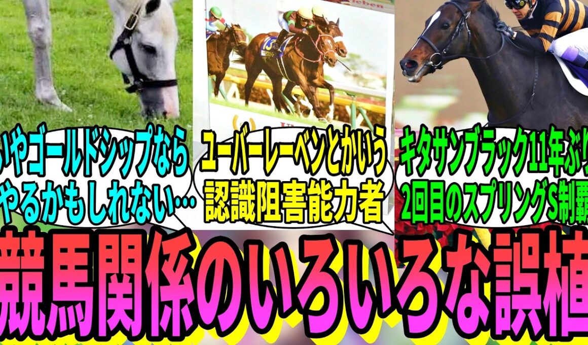 【競馬の反応集】「好きな競馬記事の誤植を挙げる」に対する視聴者の反応集