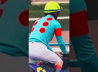 《C・ルメール騎手、歓天喜地の前人未到の菊花賞3連覇》 エネルジコが、戴冠   京都競馬場   20251026