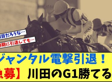 【急募】「ジャンタルマンタル電撃引退に伴う川田でこの先G1を勝てる馬」に対する競馬に役立つまとめ