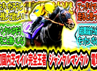 『史上初の牡馬国内芝マイル完全王者ジャンタルマンタル電撃引退。』に対するみんなの反応【競馬の反応集】