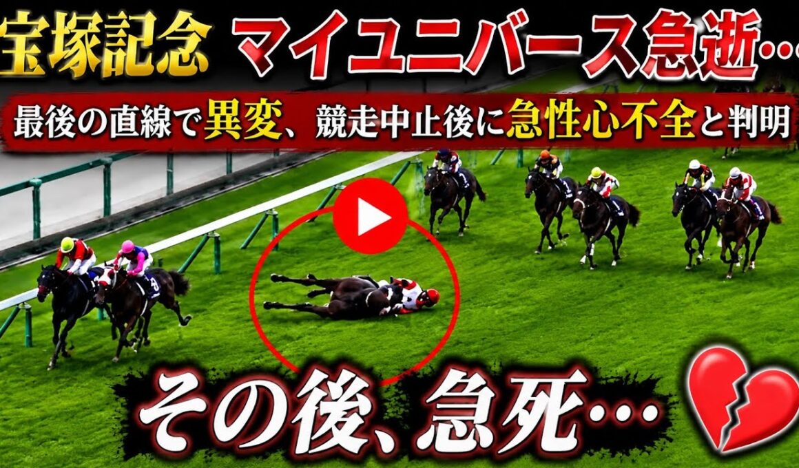 【宝塚記念】マイユニバース急逝…最後の直線で異変、競走中止後に急性心不全と判明 🐎💔